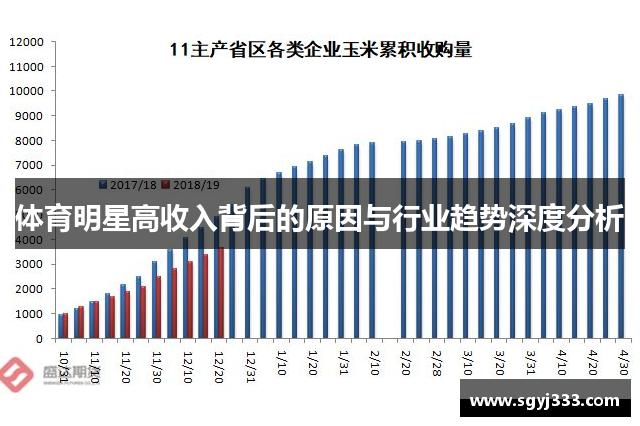 体育明星高收入背后的原因与行业趋势深度分析