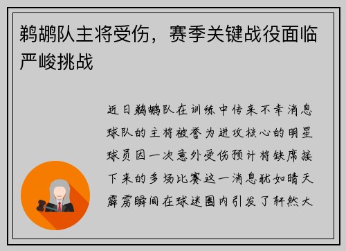 鹈鹕队主将受伤，赛季关键战役面临严峻挑战